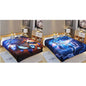 Digital Printed Single layer 2ply Licensed Fleece Blanket [Combo-C]_3